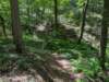 pxl_20250517_163255750_small.jpg