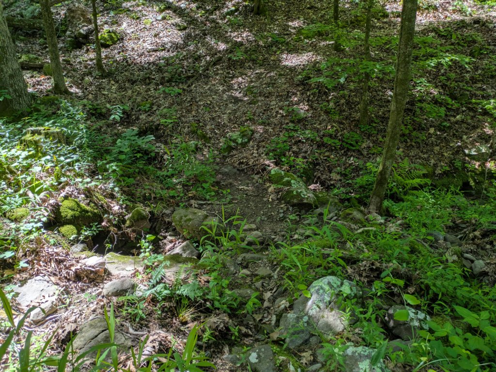 pxl_20250517_163602197.jpg