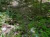 pxl_20250517_163602197_small.jpg
