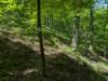 pxl_20250517_163619630_small.jpg