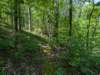 pxl_20250517_163729412_small.jpg