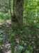 pxl_20250517_163748640_small.jpg