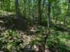 pxl_20250517_163817133_small.jpg