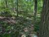 pxl_20250517_163830485_small.jpg