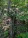 pxl_20250517_163948141_small.jpg
