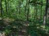 pxl_20250517_164003739_small.jpg