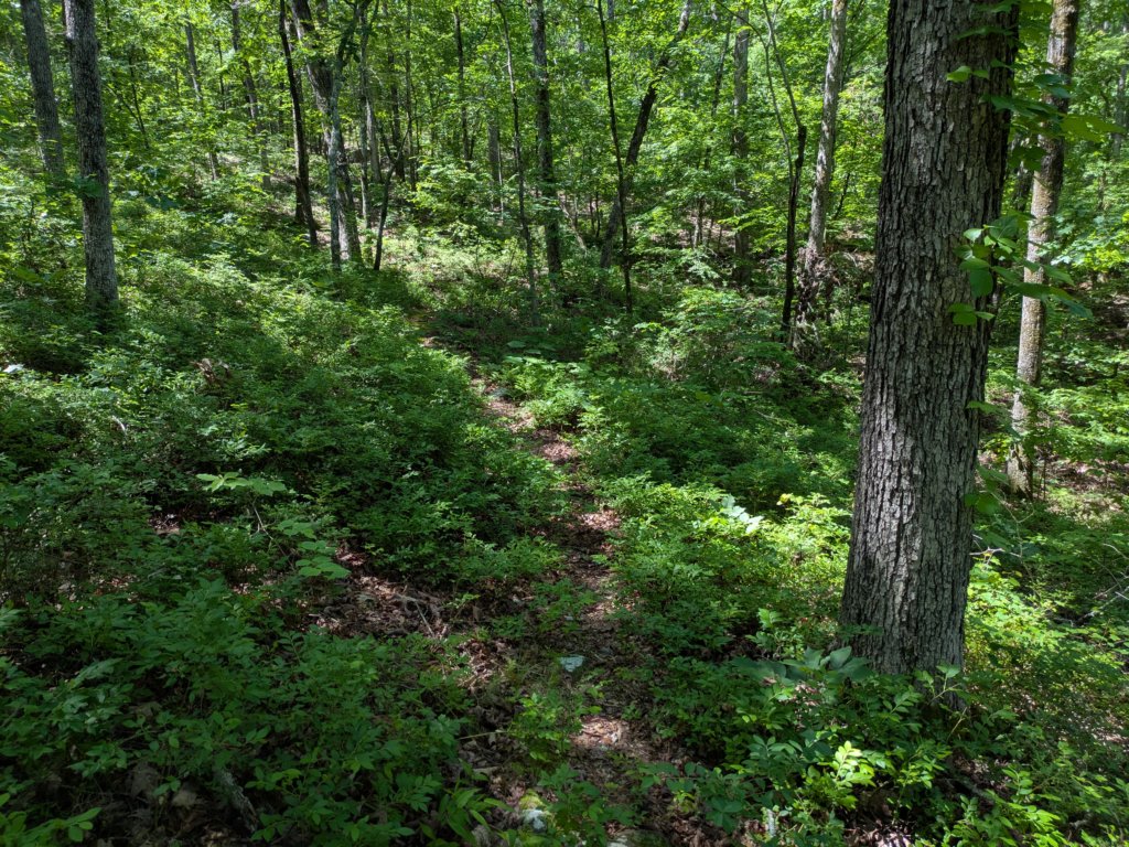 pxl_20250517_164037605.jpg