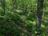 pxl_20250517_164037605_small.jpg