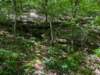 pxl_20250517_164117429_small.jpg