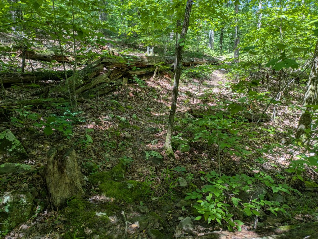 pxl_20250517_164124849.jpg