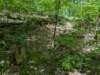 pxl_20250517_164124849_small.jpg