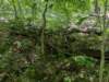 pxl_20250517_164131978_small.jpg