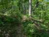 pxl_20250517_164209527_small.jpg