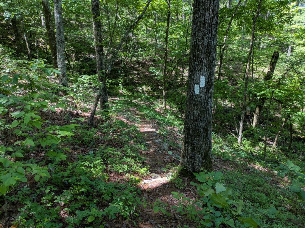 pxl_20250517_164238622.jpg