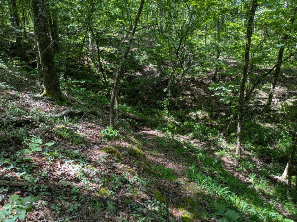 pxl_20250517_164248080.jpg