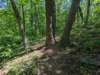 pxl_20250517_164323447_small.jpg