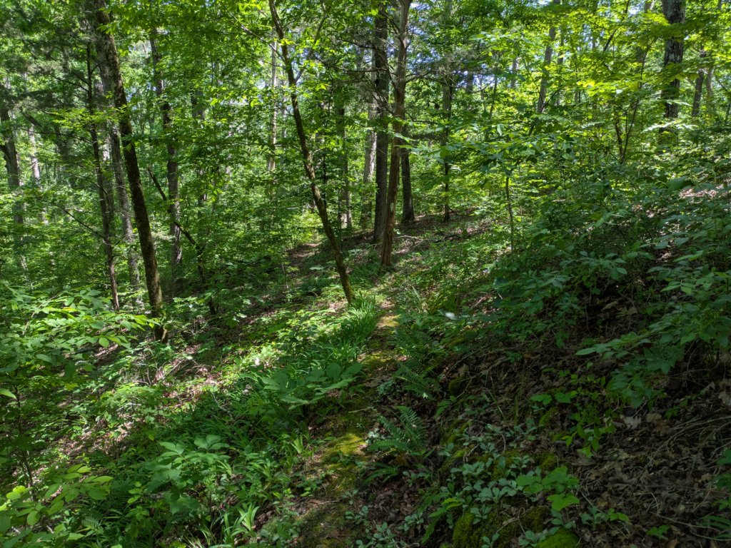 pxl_20250517_164342868.jpg