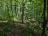 pxl_20250517_164455703_small.jpg