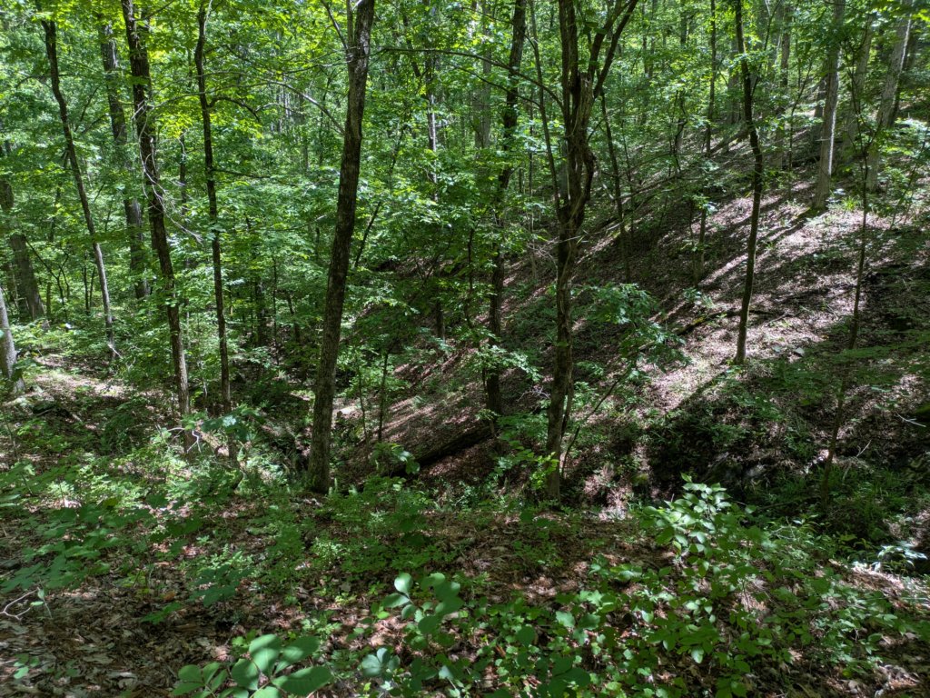 pxl_20250517_164501570.jpg