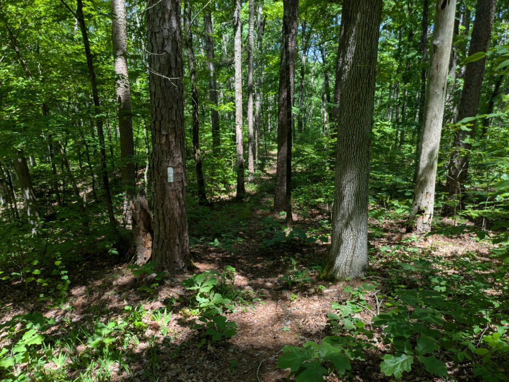pxl_20250517_164532381.jpg