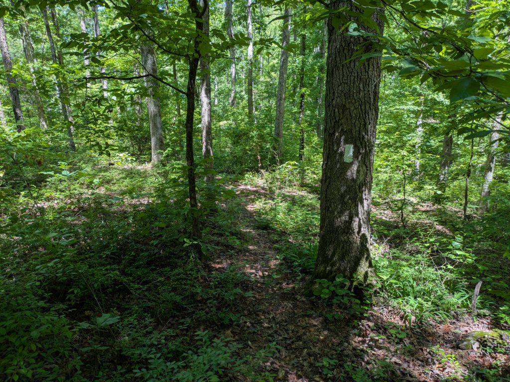 pxl_20250517_164750377.jpg