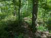 pxl_20250517_164750377_small.jpg