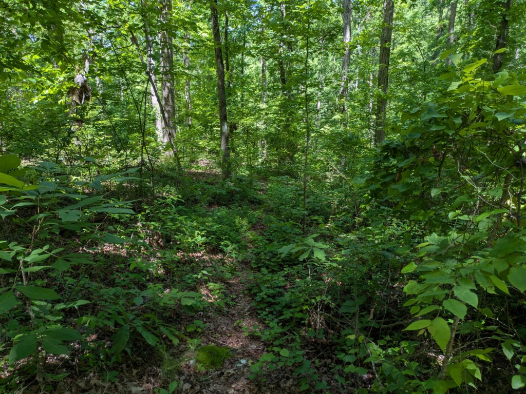 pxl_20250517_164803647.jpg
