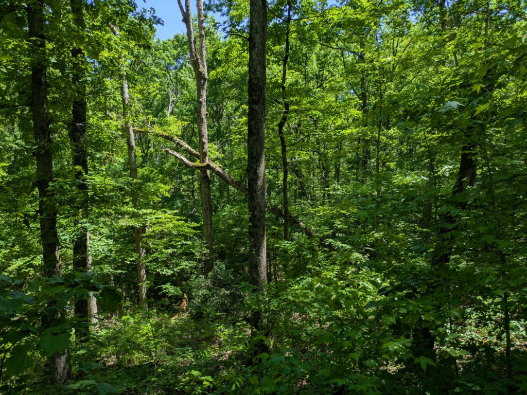 pxl_20250517_164820226.jpg