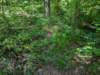 pxl_20250517_164856930_small.jpg