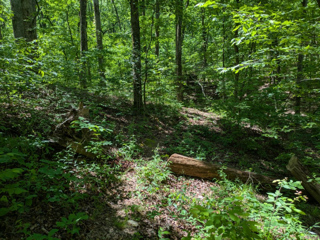pxl_20250517_164944610.jpg
