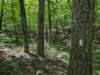 pxl_20250517_165006477_small.jpg