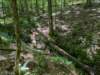 pxl_20250517_165022555_small.jpg