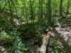 pxl_20250517_165030951_small.jpg