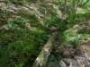 pxl_20250517_165043865_small.jpg