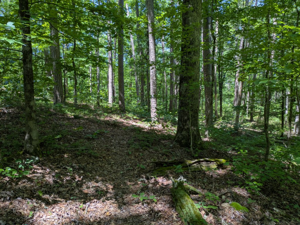 pxl_20250517_165222830.jpg