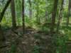 pxl_20250517_165306225_small.jpg