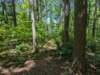 pxl_20250517_165404243_small.jpg