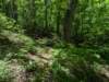 pxl_20250517_165617278_small.jpg