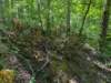 pxl_20250517_165637796_small.jpg