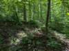 pxl_20250517_165649662_small.jpg