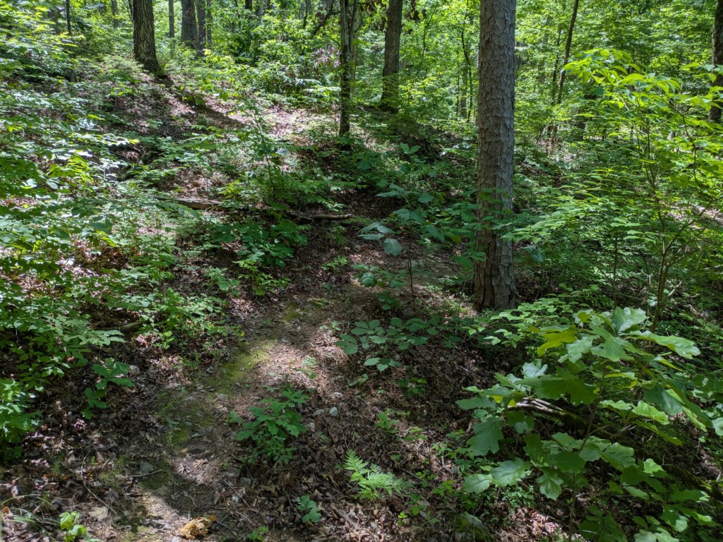 pxl_20250517_165742061.jpg