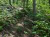 pxl_20250517_165742061_small.jpg