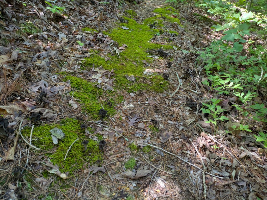 pxl_20250517_165807583.jpg