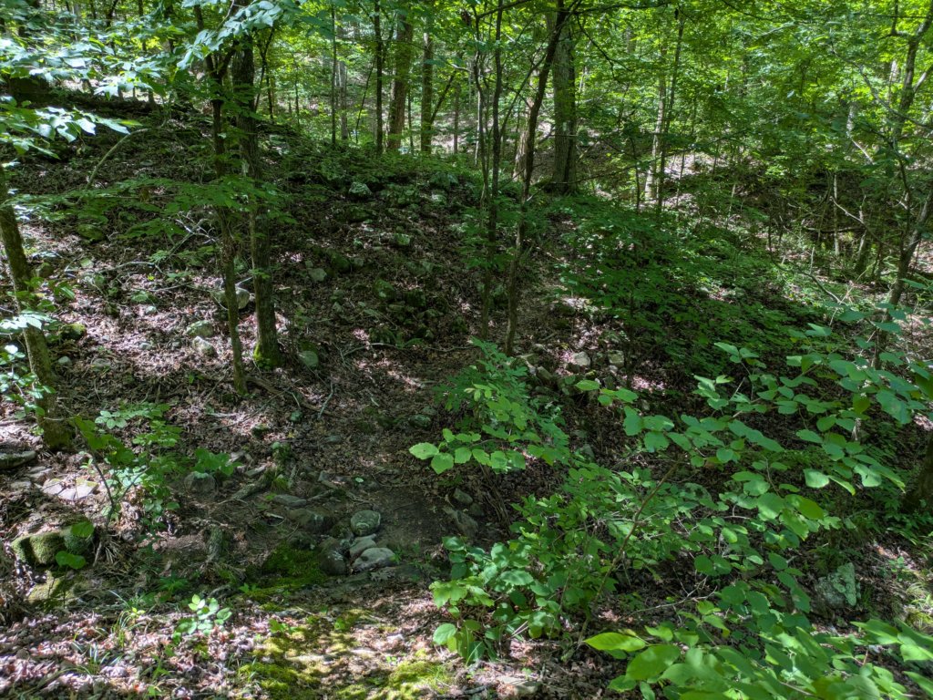 pxl_20250517_165835052.jpg