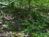 pxl_20250517_165835052_small.jpg