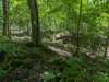 pxl_20250517_165850760_small.jpg