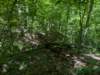 pxl_20250517_165900933_small.jpg