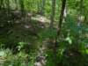 pxl_20250517_170039250_small.jpg