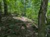pxl_20250517_170049493_small.jpg