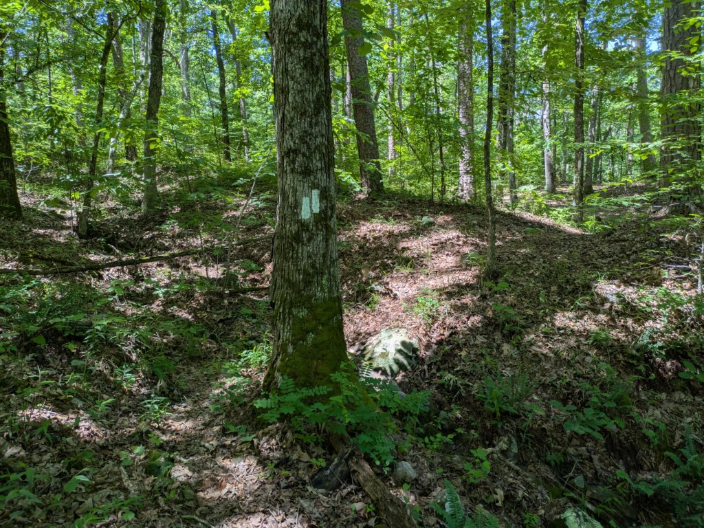pxl_20250517_170116742.jpg